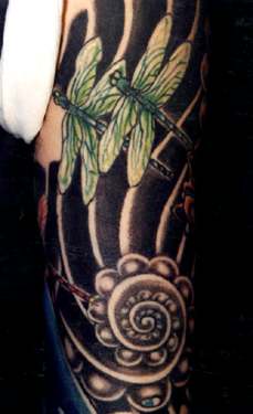 Dragon Flies detail