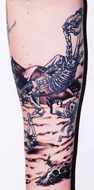Skeleton Horse