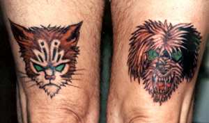 Mad Cat and Dog