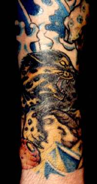 Black Cat Detail 