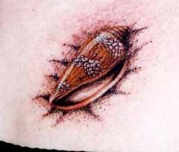Sea Shell tattoo