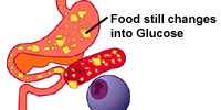 Food Still changes into glucose