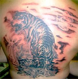 Lion Full Back piece
